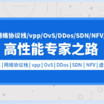dpdk/网络协议栈/vpp/OvS/DDos/SDN/NFV/虚拟化/高性能专家之路