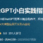 ChatGPT小白实践 指南